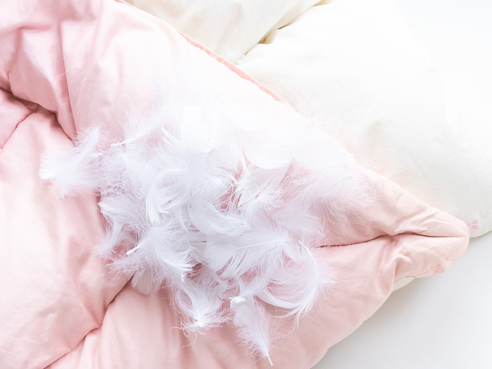 羽毛が出てきてしまった