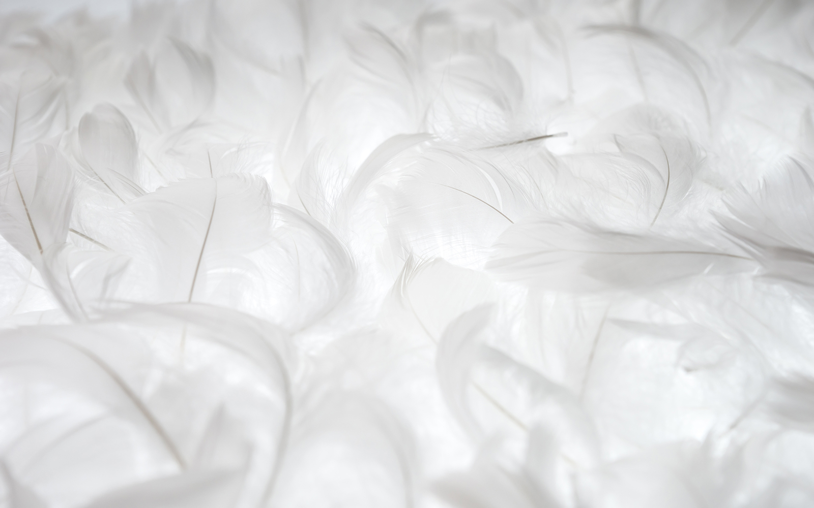 羽毛ふとんリフォーム